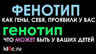 ФЕНОТИП и ГЕНОТИП, быстро, коротко, просто и ясно