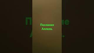Послание Аллаха.