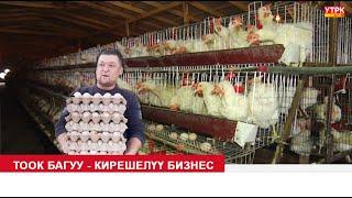 ТООК БАГУУ - КИРЕШЕЛҮҮ БИЗНЕС