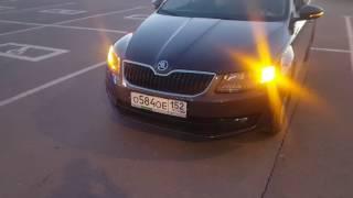 Перемигивание светодиодных "ресничек" дхо с поворотниками Skoda Octavia a7