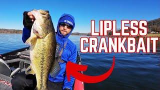 How To Catch Bass On A Lipless Crankbait! (Lake Guntersville)