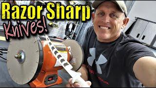 Best Knife Sharpener on the Planet!