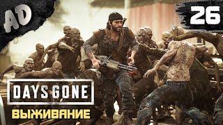 ГДЕ ТВОЯ ЖЕНА ДИК Прохождение Days Gone Жизнь После на Русском #26