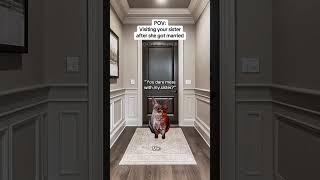CAT MEMES Visiting your sister after she got married #catmemes #relatable #relationship