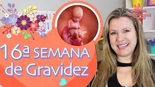 16TH WEEK OF PREGNANCY | Revelation Tea, The Baby, Layette List | 2nd QUARTER OF PREGNANCY