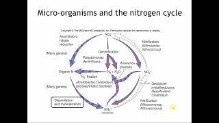 NitrogenCycle ABT