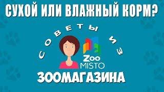 Каким кормом кормить собаку сухим или консервами | Виды корма для собак | Советы из зоомагазина