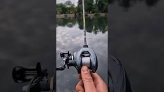 Seasir Cast-X BFS (CHEAP AliExpress Reel) #shorts #fishing