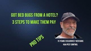 How to Make Hotels Pay for Bed Bug Infestation