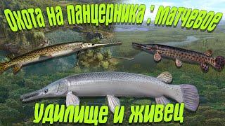 Fishing Planet PS4#  Охота на панцирника Матчевое удилище живец / Миссии мастерство