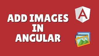 How to add images in angular 16