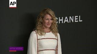 Laura Dern's 'wild and beautiful journey'