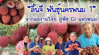 ลิ้นจี่นครพนม1 #กรมวิชาการเกษตร สู่พืช GI  EP2ศวพ.นครพนม#ลิ้นจี่นครพนม1 #เกษตรก้าวไกลกับสวพ.3