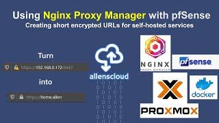 Using Nginx Proxy Manager with pfSense, Proxmox, and Docker