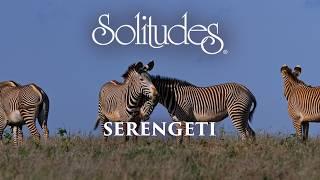 Dan Gibson’s Solitudes - Untamed Beauty | Serengeti: A Natural Symphony