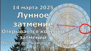 Лунное затмение 14 марта 2025 что принесёт каждому знаку