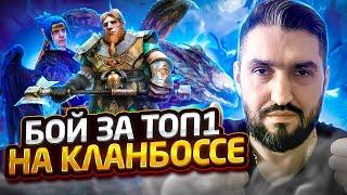 КТО ЛУЧШЕ - ГНУТ,ДРАКОМОРФ ИЛИ НИНЗЯ В УНИВЕРСАЛЬНОМ АНКИЛЕ? ПОЛНЫЙ ОБЗОР! RAID SHADOW LEGENDS!