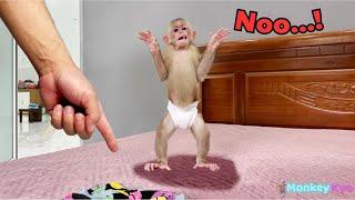 Monkey Kyo Dad, You Misunderstand Me – Unexpected Development!