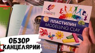 АСМР обзор КАНЦЕЛЯРИИ, покупки для 2го класса, жвачка АСМР, жевачка АСМР, ASMR chewing gum, покупки