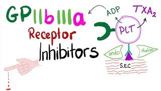 GPIIb/IIIa receptor inhibitors