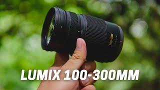 Amazing Compact & Sharp Super Telephoto Lens On A Budget - Lumix 100-300mm