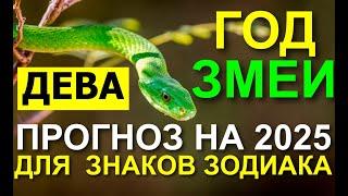 ДЕВА. ПРОГНОЗ НА 2025 ГОД. ГОД ЗМЕИ. МНОГО ДЕЛ 