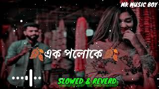 Ek poloka.এক পলোকে Bangla Lo-fi song.slowed & Reverd