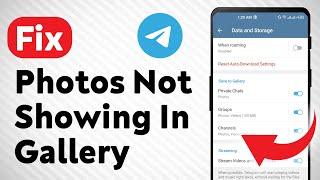 How to Fix Telegram Photos Not Showing In Gallery (Updated)