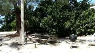 Cannons by the Sea Overview