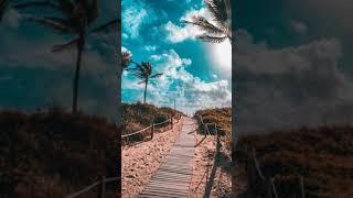 9:16 Sky No Copyright Video | Tree Copyright Free Videos | Clouds Free Stock Videos | Free Footage