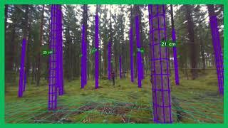 Forest measurement by autonomous drone