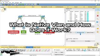 What is Native Vlan and How Does it Work? | Native Vlan (Vlan1) in Switch | SYSNETTECH Solutions