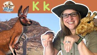 Zoo Crew Alphabet Show | Kangaroos and Letter K