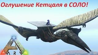 ►ARK кетцаль оглушение ►как приручить кетцаля в арк