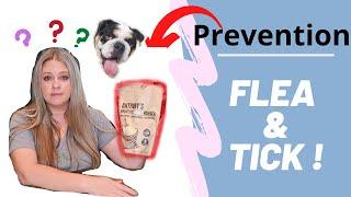 BEST Natural Flea and Tick PREVENTION | Dog and Cat