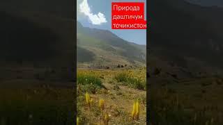 Самая красивая природа Таджикистан даштиджум