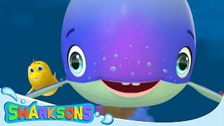 Sail Sail Sail A Whale | Videos for Kids | Nursery Rhymes & Kids Songs | The Sharksons