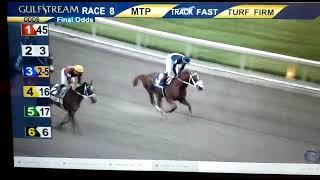 King Humor - Ocala Flame Stakes (G2)