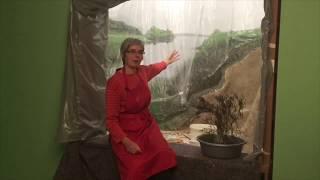 Wie entsteht ein Diorama? Eine Präparatorin aus dem Übersee-Museum berichtet...