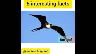 5 interesting facts # short video - Aj the knowledge hub |