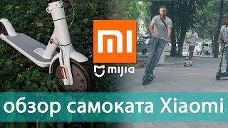 Обзор самоката Xiaomi Mijia m365, отличный вариант городсокого электротранспорта, дороги без пробок