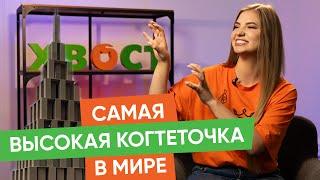 Как понять, что собака испытывает стресс и другие новости "Хвост Ньюс" #130