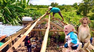 Sơn and Long built the roof on schedule, BiBi is happy to have a new roof soon.