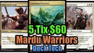 MTG Budget Modern Warriors Deck Tech