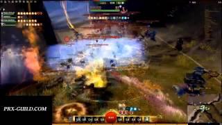 [PRX] The Professionals GW2 Video by Harrek