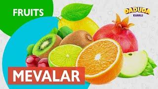 Mevalar- Fruits