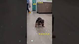 https://youtube.com/shorts/-WaeC7vcjdI?feature=share