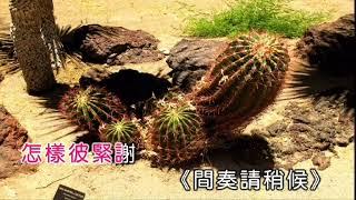 溫泉鄉的流浪兒（伴奏）