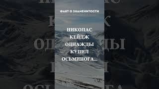 Факт о знаменитости #видео #николосик #рекомендации #рек #реки #факты #интересно #смех #shorts