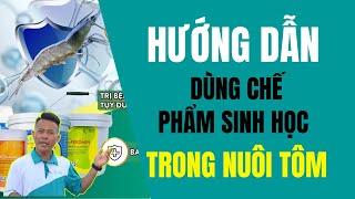 Hướng dẫn sử dụng bộ chế phẩm sinh học trong nuôi tôm